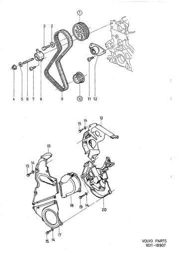 Distributieriem D19