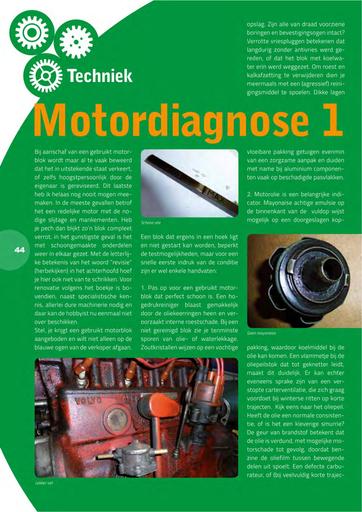 Motordiagnose